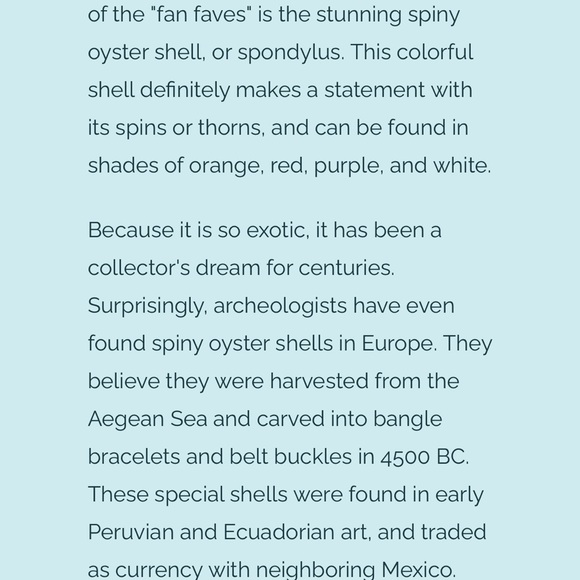 Bundle of 9 Vintage Exotic Seashells - Picture 7 of 7